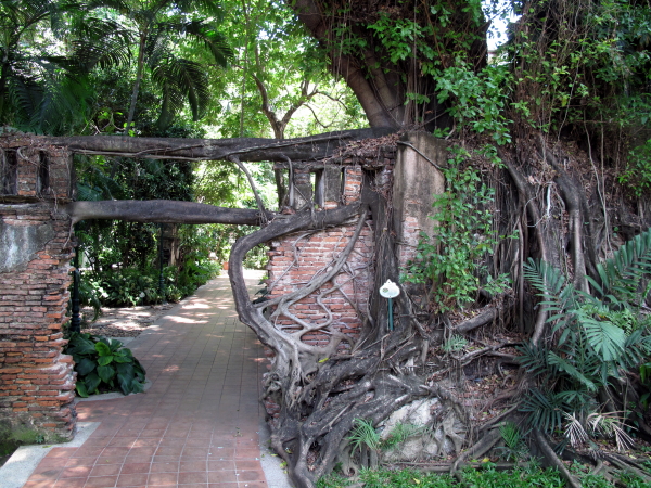 Tree-enveloped gateway at the rear of the gardens.