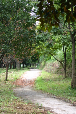 Kanchanapisek Park