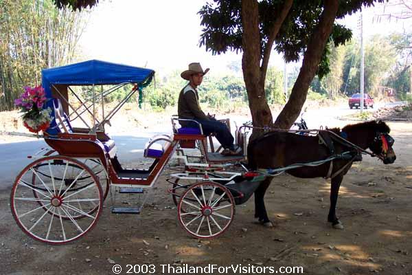 Pony Carriage