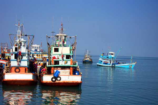 Fishing Boats