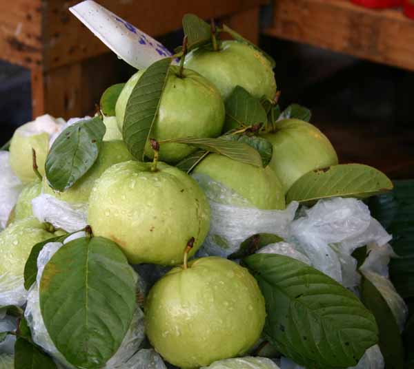 Guava