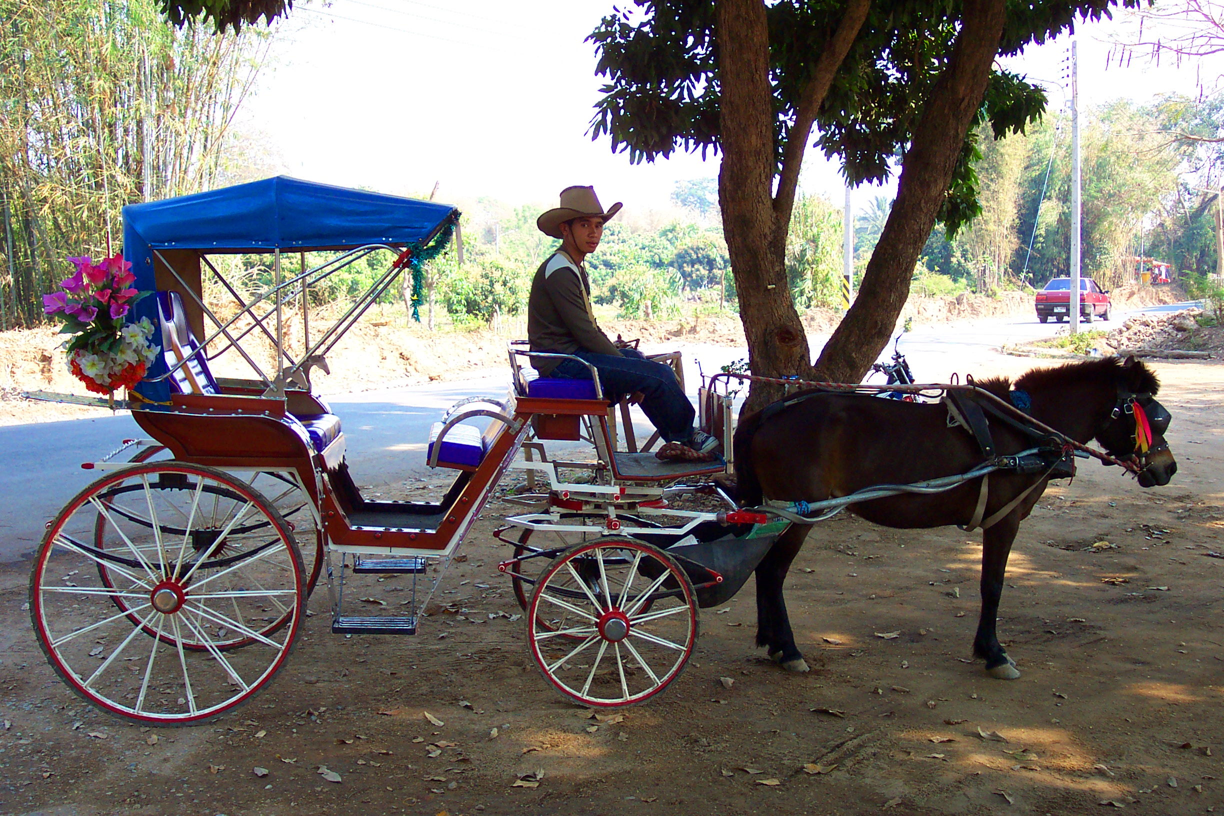 Pony Carriage