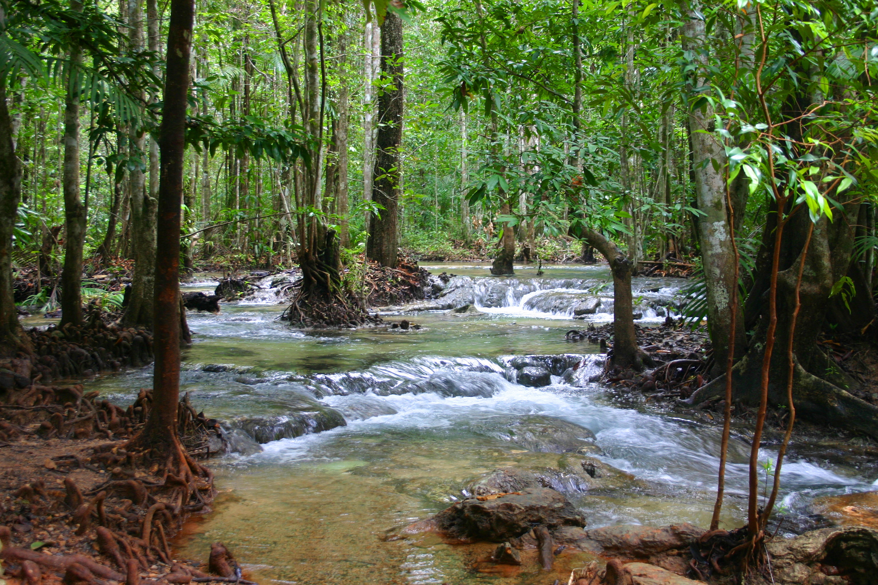 Emerald Pond, Krabi